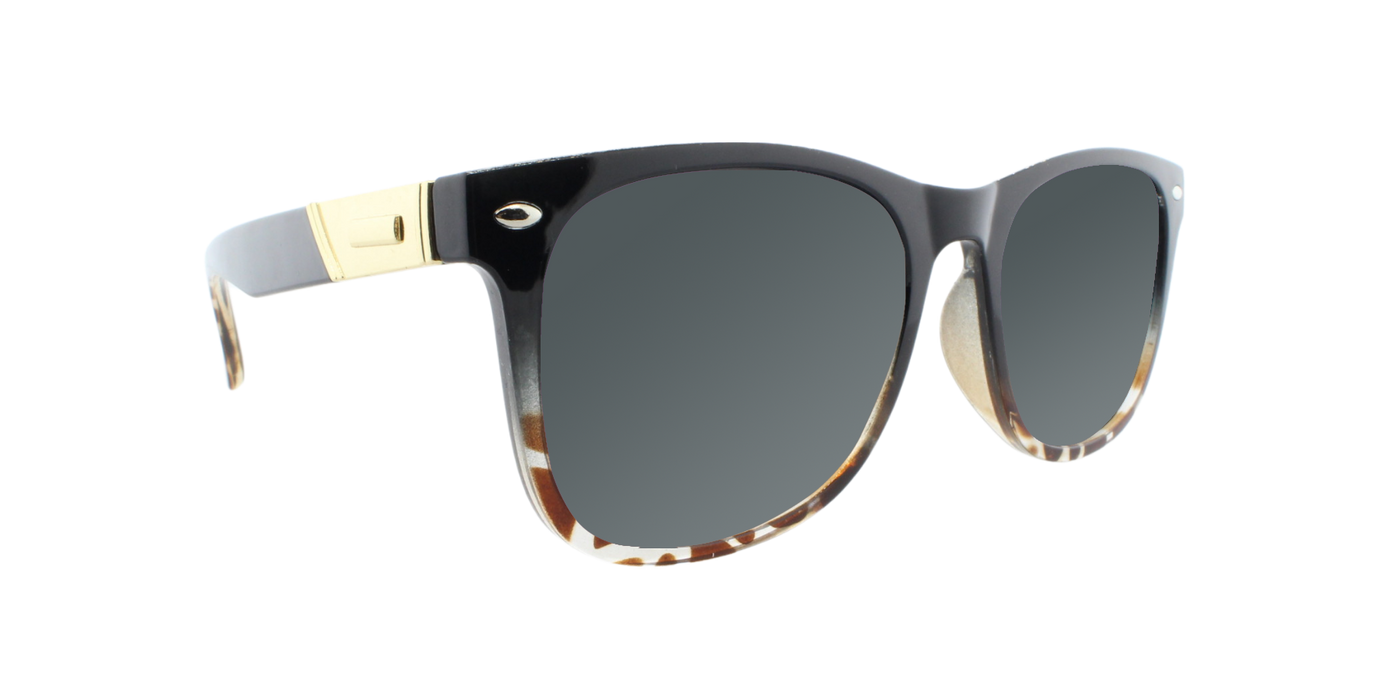 32513 Polarized Fashion Retro