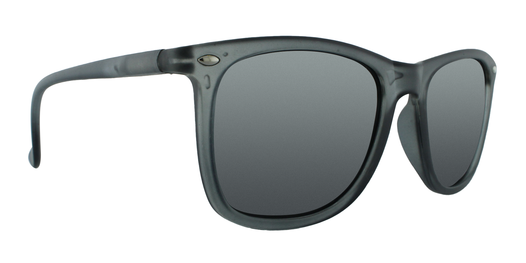 31830 Polarized Retro Classic Spring Hinge