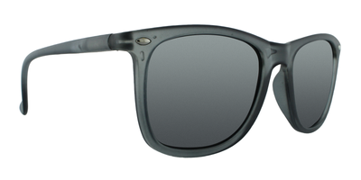 31830 Polarized Retro Classic Spring Hinge