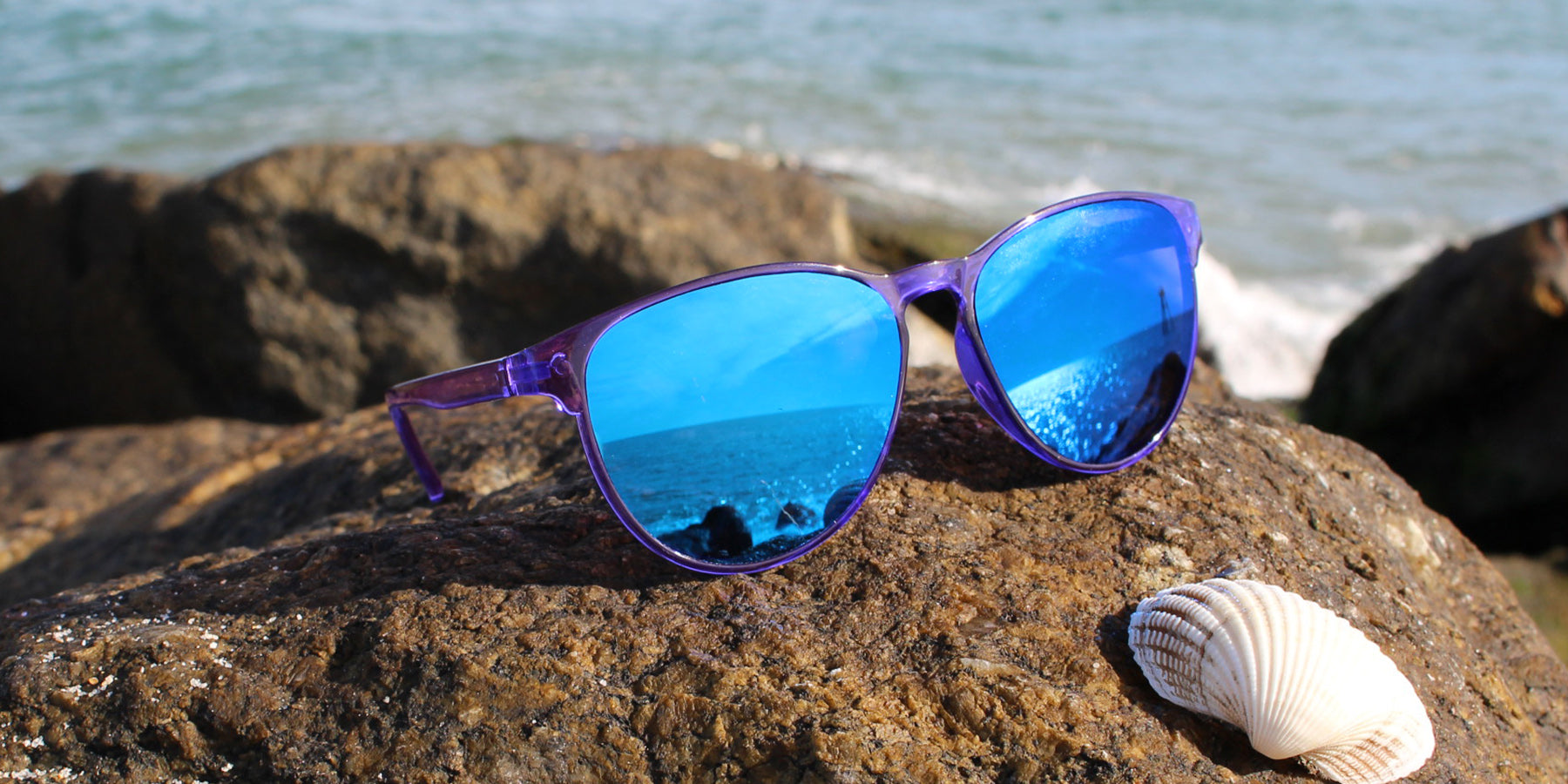 31826 Polarized Fashion with Translucent Frame