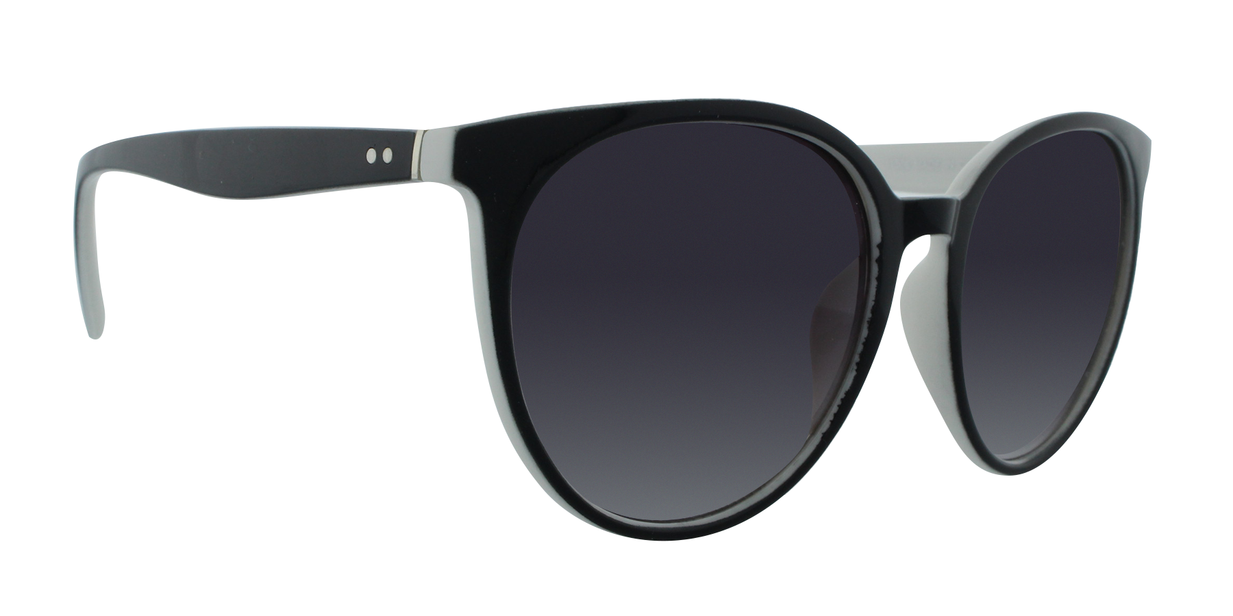 31506 Polarized Fashion Classic