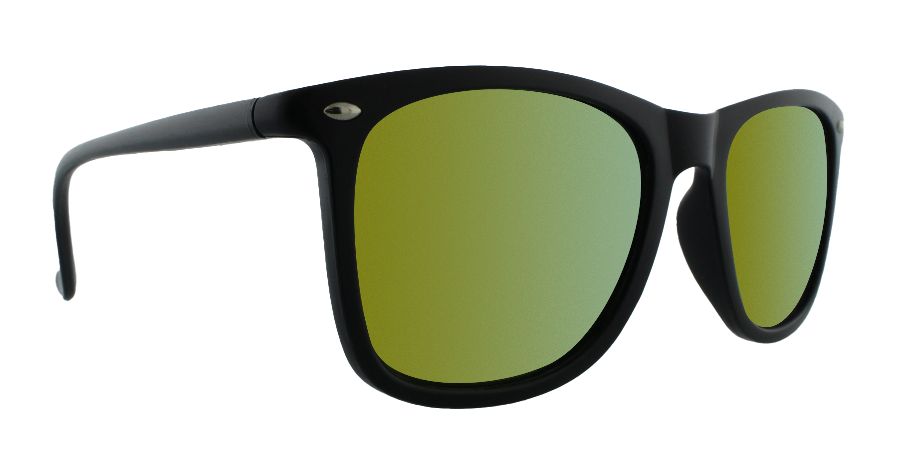 31830 Polarized Retro Classic Spring Hinge