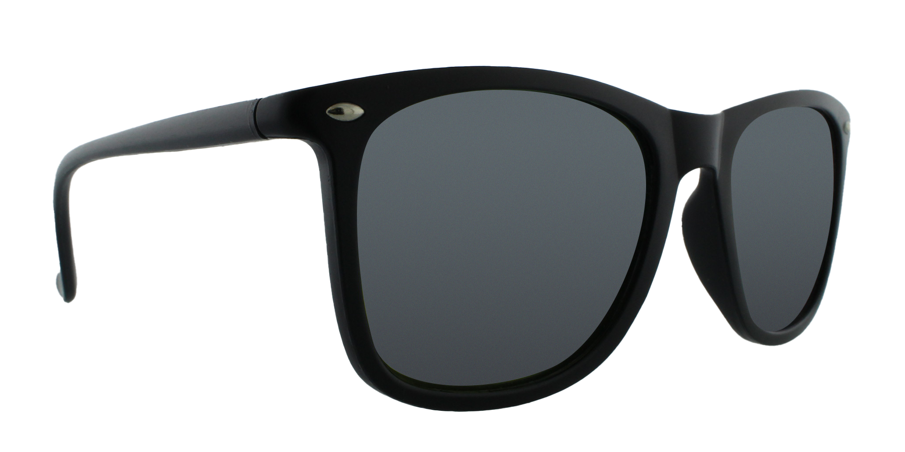 31830 Polarized Retro Classic Spring Hinge