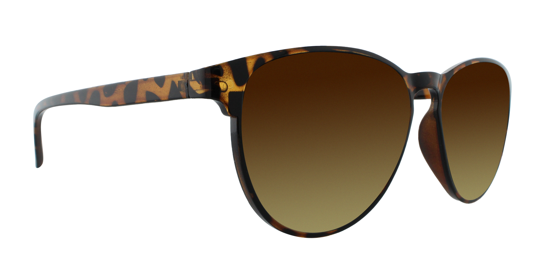 31906 Polarized Fashion with Translucent Frame