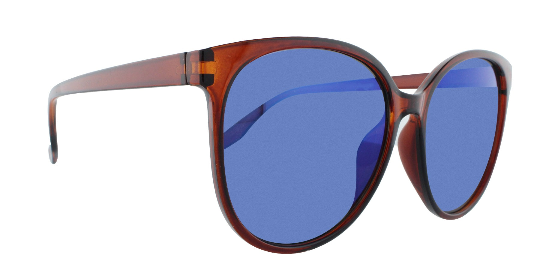 31810 Polarized Fashion Oversized